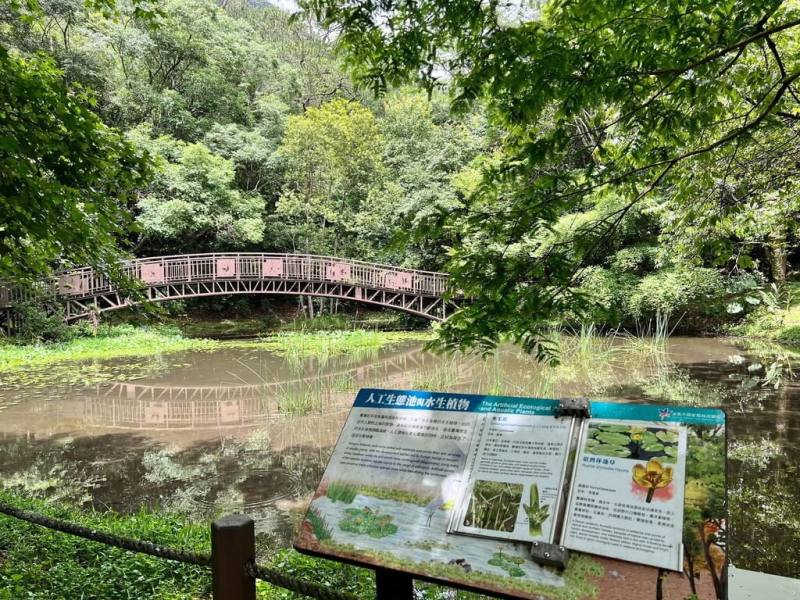 7月1日是奧萬大的生日，農業部林業及自然保育署南投分署表示，7月1日至7月6日門票只要新台幣10元，歡迎民眾一同來為奧萬大慶生。圖為奧萬大生態池。（林業及自然保育署南投分署提供）