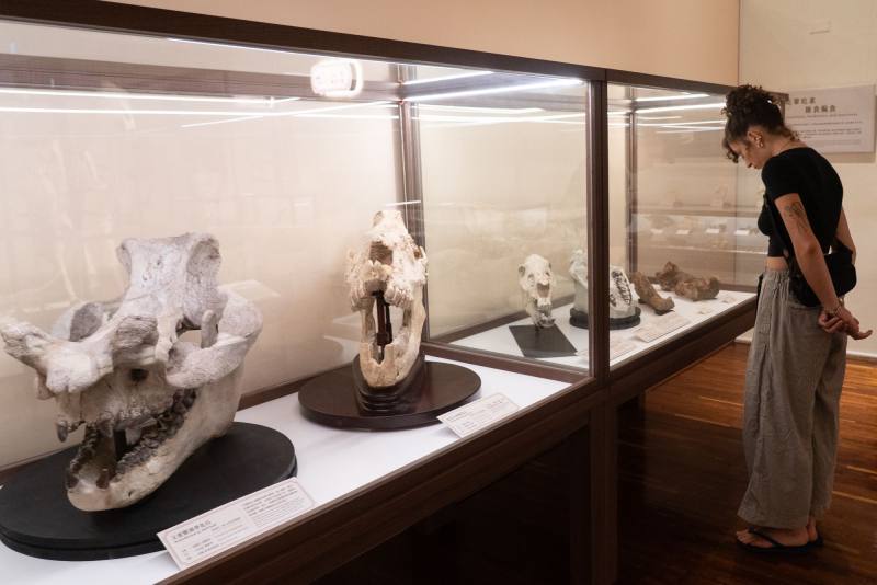 展覽集結來自全球的珍貴化石及現生標本，包含美國3000萬與2500萬年前的漸新世「內布拉斯跑犀」、「王雷獸」等