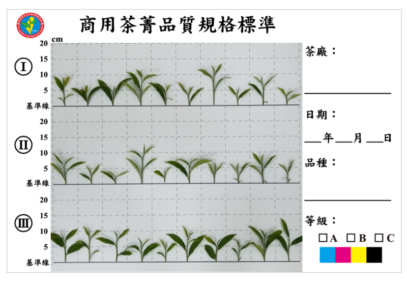 商用茶菁品質規格標準圖板
