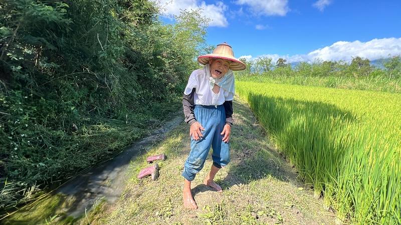 91歲的羅茂祥是台東池上地區農會目前最年長的會員，依然離不開農地和最愛的水稻品種「醜美人」，每天早晚下田耕作