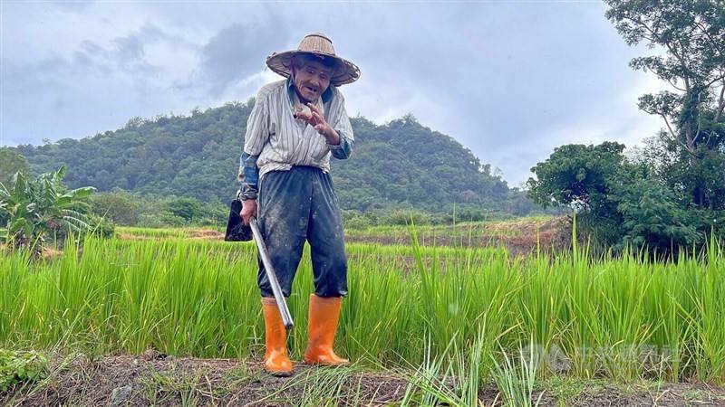 Farmer Lo Mao-hsiang. CNA photo June 28, 2025