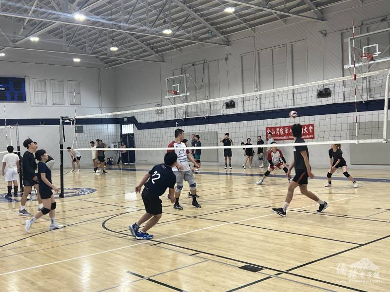 排球比賽選手發揮實力爭取佳績