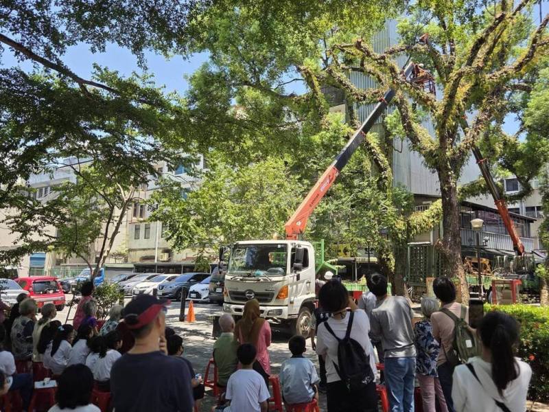 宜蘭縣文化景觀「宜蘭醫院老樹群」相傳是歌手羅大佑創作名曲「童年」靈感，其中1棵樟樹因患褐根病死亡，縣府近日舉辦環境教育活動，了解枯立木移除目的，觀察鋸除過程。（宜蘭縣樹藝景觀所提供）