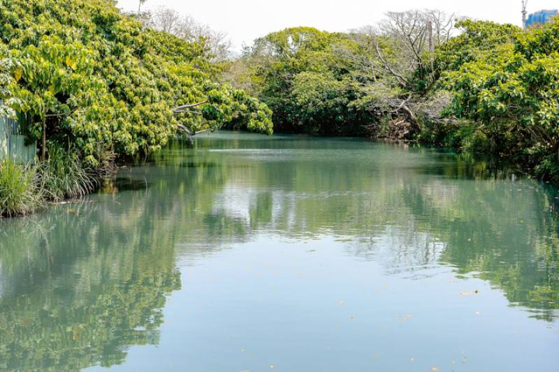 The Meizhou Wetlands are home to Taipei’s last natural waterway.​​