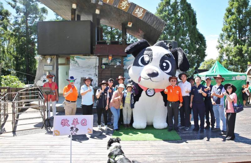 清境農場辦理牧羊犬大型氣球票選命名，2日揭曉由「牧羊Q」勝出並首次亮相，結合羊羊氣球佇立草原，吸引遊客合影留念、成為打卡新亮點。（清境農場提供）