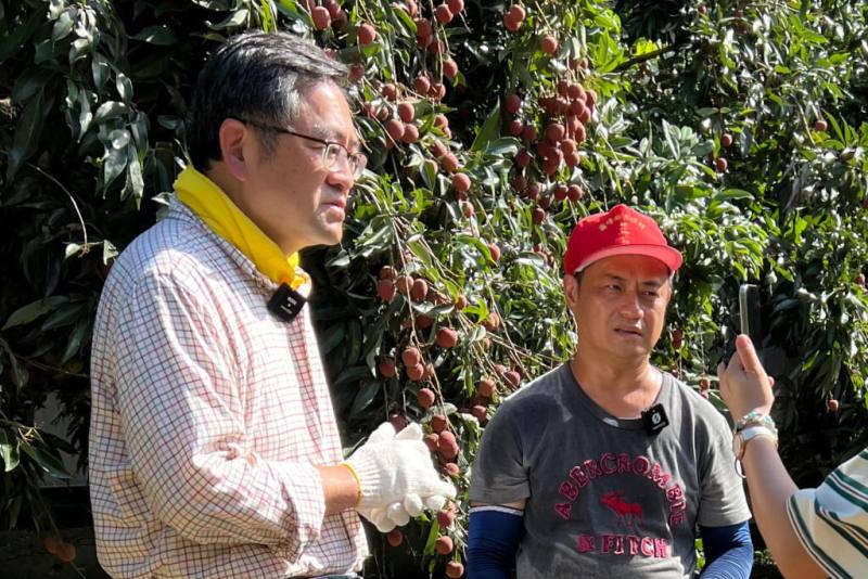 台中市霧峰區荔枝正值盛產期，霧峰區農會總幹事黃景建（左）化身「霧農大叔」拍攝宣傳影片，短短3天就破200萬瀏覽人次。（霧農大叔提供）