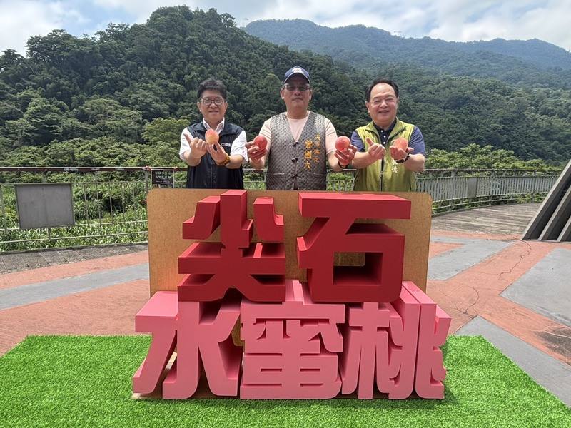 新竹縣尖石鄉公所2日辦理「甜蜜豐收、樂桃尖石」行銷推廣活動，鄉長曾國大（中）出席，指出今年天氣條件穩定、雨水充沛，水蜜桃果實品質佳且產量豐；為幫助農民促銷，也將舉辦3場次實體展售會
