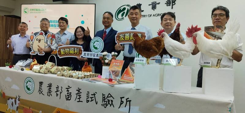 農業部畜產試驗所3日舉行記者會，介紹蛋雞場轉型革新之路。畜試所組成跨領域專家輔導團，協助傳統籠飼蛋雞場變更高級衛生，並導入新式設備，多了跑跳空間，產蛋率從75.8%提升至89.4%