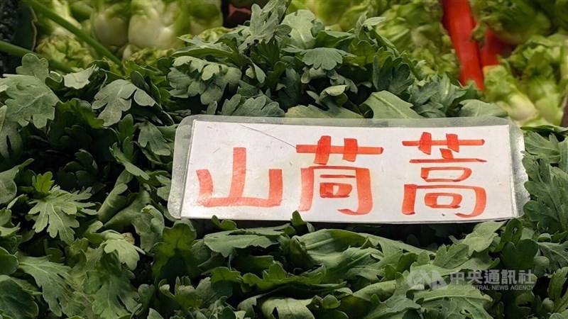 Chrysanthemum greens. CNA photo July 3, 2025