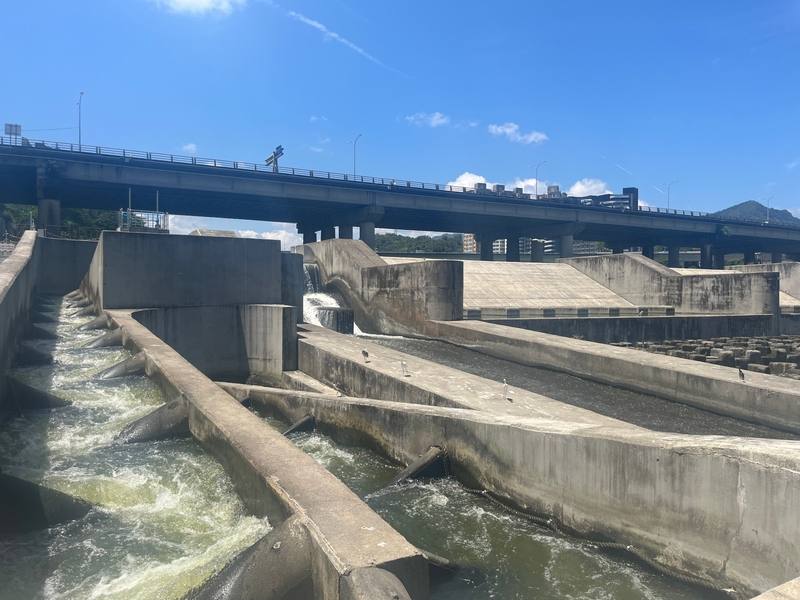 碧潭堰新堰體於民國112年7月完成修復後，打通中斷46年的新店溪生態廊道，至今記錄到51種魚蝦蟹類