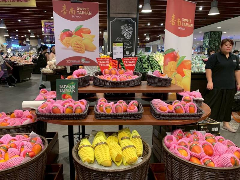 台南的愛文、西施與金煌三大芒果在吉隆坡連鎖超市上架。（台南市政府提供）