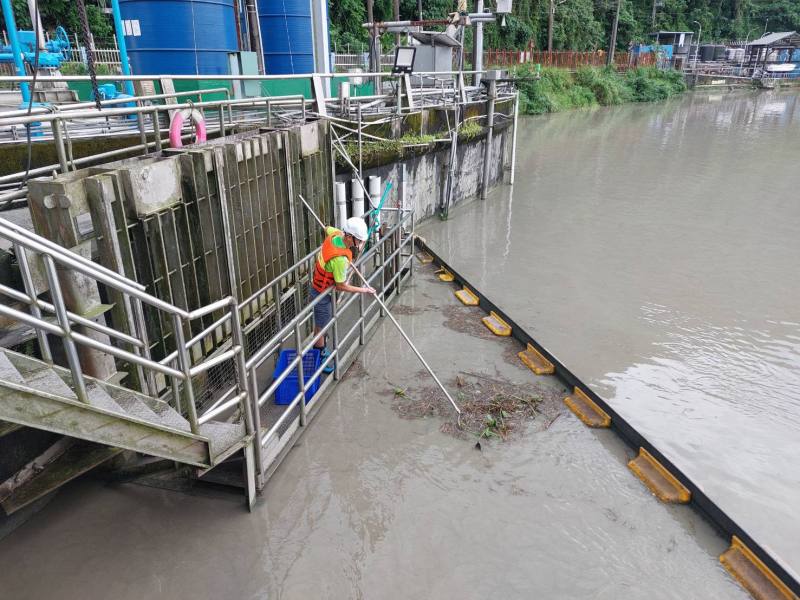 漂流物清除作業