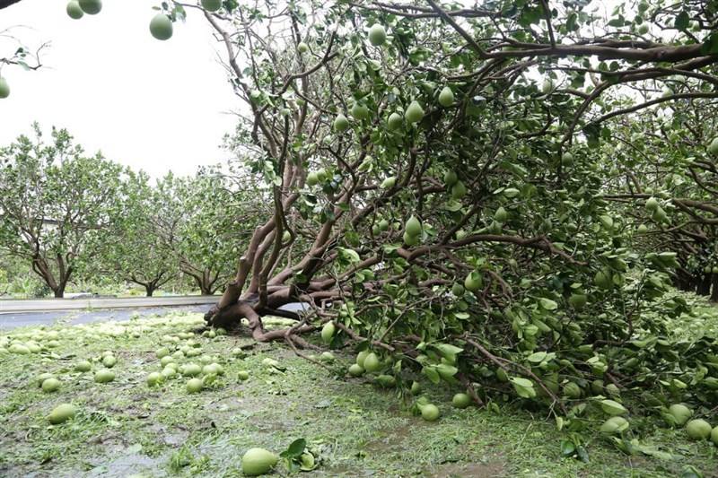 Photo courtesy of the Tainan City government