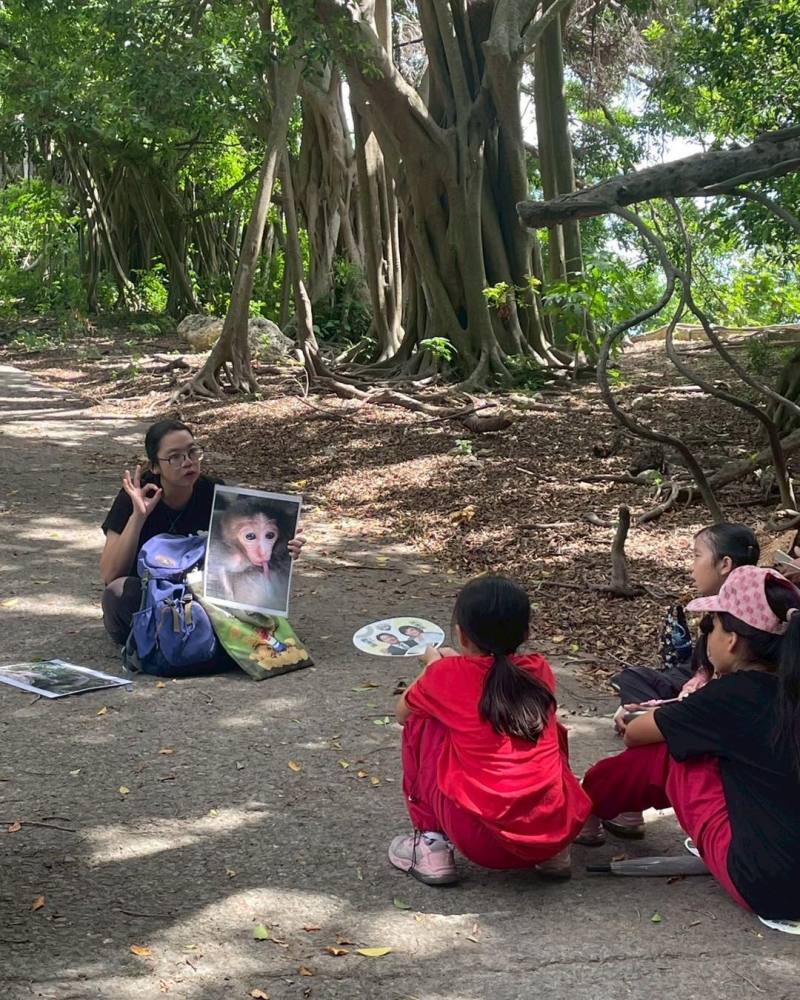 (示意圖/圖取自台灣獼猴共存推廣協會臉書)