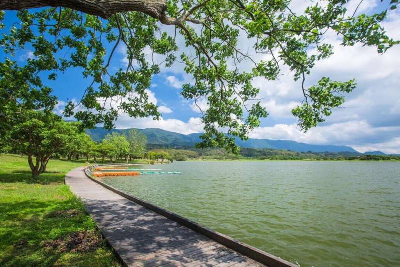 暑假到來，台東進入觀光旺季，縣府5日起試辦台灣好行鹿野鄉–池上鄉線，每週六推出1班次郵輪式公車，由台東轉運站出發，串聯池上、鹿野、關山等縱谷旅遊景點，讓遊客輕鬆深度探索花東縱谷南段。圖為大坡池。（台東縣政府提供）
