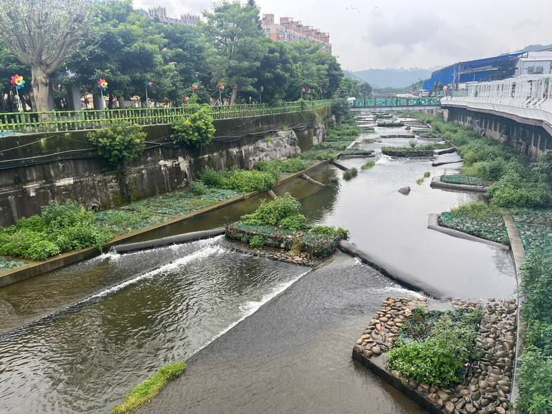 新北市泰山區大窠坑溪第2期工程今年5月正式完工，在不影響河防安全前提下，營造河中島陸域棲地，形成生態跳島，有助動物遷徙與棲息，兼顧環境、防洪與民眾使用需求