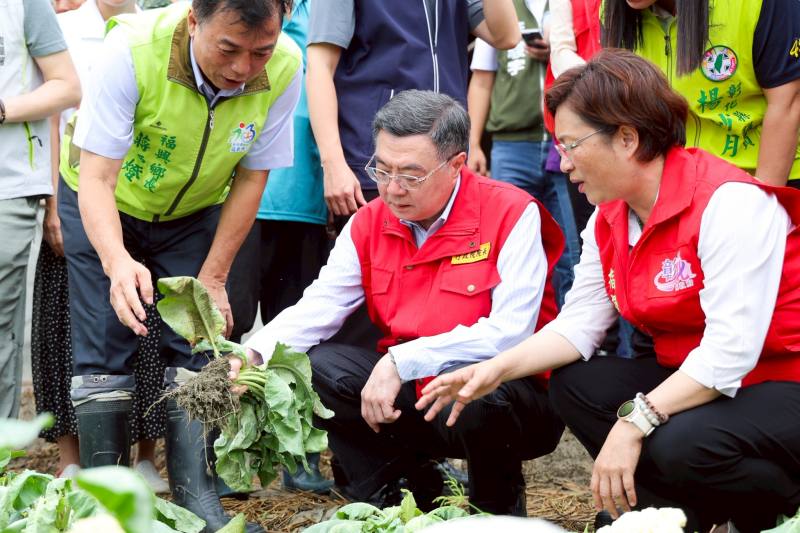 行政院長卓榮泰視察彰化縣福興鄉花椰菜受損情形