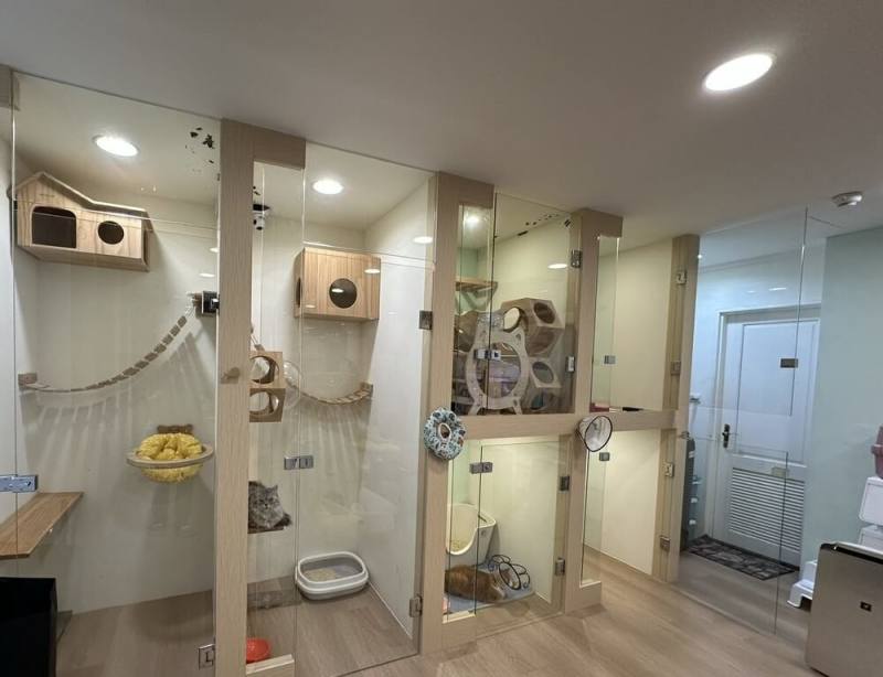 台北市動物保護處11日公布183家特定寵物業者相關資料，且有列出評鑑最新查核結果，方便飼主為毛孩選擇符合需要的寄宿場所。（動保處提供）