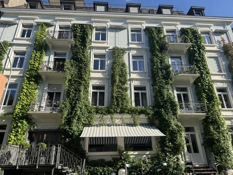 蘇黎世政府輔導的外牆綠化案例，多種攀緣植物往上生長，在特殊設計下不傷害古典建築，並可有效降溫。