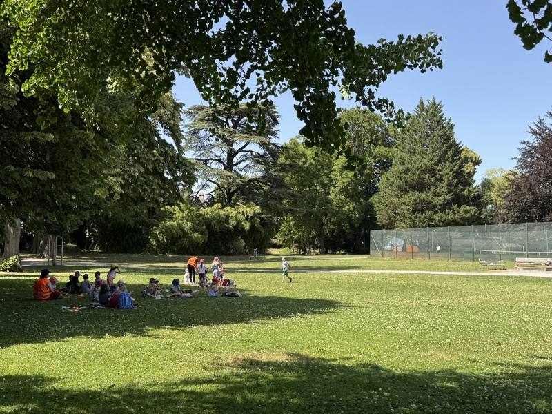 蘇黎世市府計畫持續植樹，增加住宅區的樹蔭比率，在酷熱中增加涼蔭，可有效減少都市熱島效應。