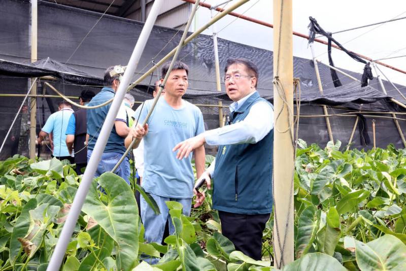 颱風丹娜絲造成台南多處災情，市長黃偉哲（右）13日前往下營區關心火鶴花產業受損情形。（台南市政府提供）