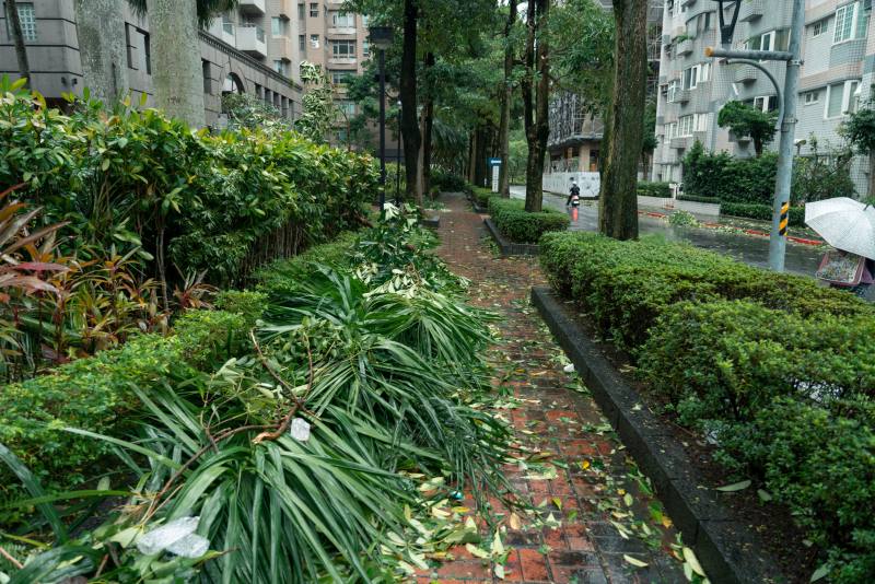 (示意圖/圖取自Pexels圖庫)