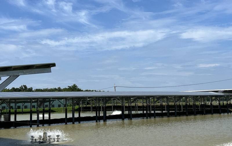 高雄市阿蓮區崙仔頂段的漁電共生案場，發電與養殖相輔相成