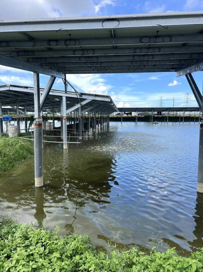 高雄市阿蓮區崙仔頂段的漁電共生案場，屬於屋外型案場，太陽能光電設施蓋在魚塭堤岸旁，不影響養殖