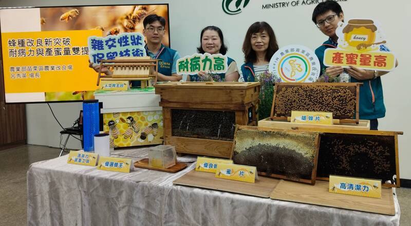 農業部苗栗區農業改良場15日上午在農業部舉行記者會，介紹蜂種改良新突破技術。苗栗農改場表示，成功培育出高耐病力且產蜜量高的蜂種，協助蜂農改善蜂種弱化及病蟲害致產量下降問題