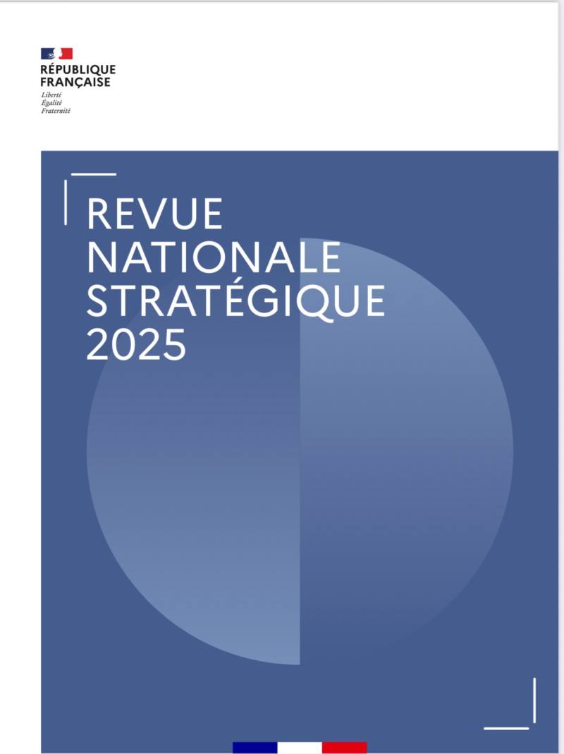 圖片擷取自「國家戰略報告」（National Strategic Review 2025）