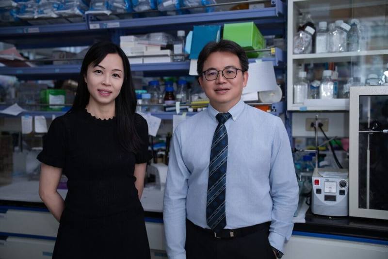 陽明交通大學和台北榮民總醫院最新研究發現，腸道荷爾蒙GLP-1會抑制肌肉的再生與修復，成為肌少症的隱形推手。左起為研究主持人、陽明交大生化暨分子生物研究所教授郭津岑、北榮急診部主任黃獻皞。（陽明交大提供）