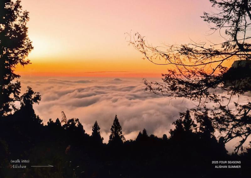 林業保育署嘉義分署將於8月2日於阿里山國家森林遊樂區香林神木劇場，舉辦2025夏星空電影院活動 ，參與星空電影院之餘，也可以一訪阿里山晚霞。（林業署嘉義分署提供）