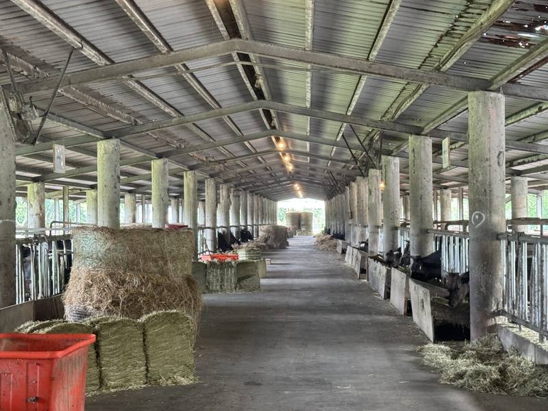 前總統李登輝生前致力培育的台灣和牛「源興牛」，業者以花蓮新光兆豐農場為保種基地，並啟動「千頭代養計畫」，今年先與2家農場合作試辦，預計3年後成長至10家農場，達到3年1000頭穩定供應的目標