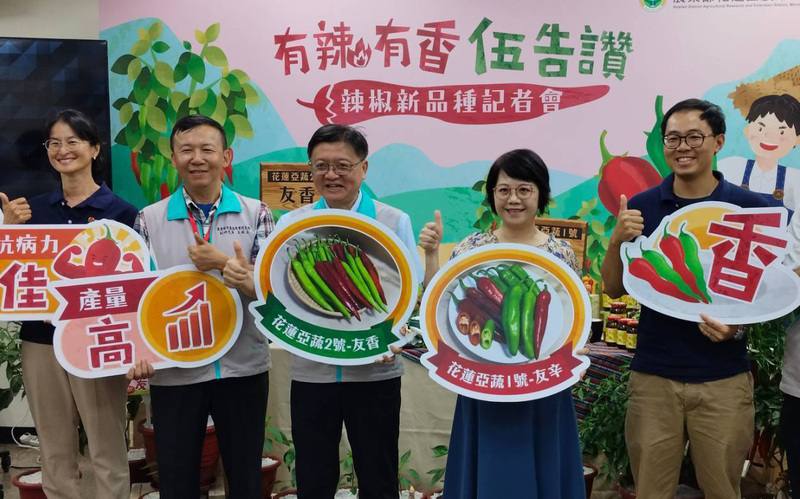 農業部花蓮區農業改良場17日在農業部舉辦「辣椒新品種發表記者會」，發表2款針對夏季剝皮辣椒辣度過高問題所育成的中辣與微辣新品種