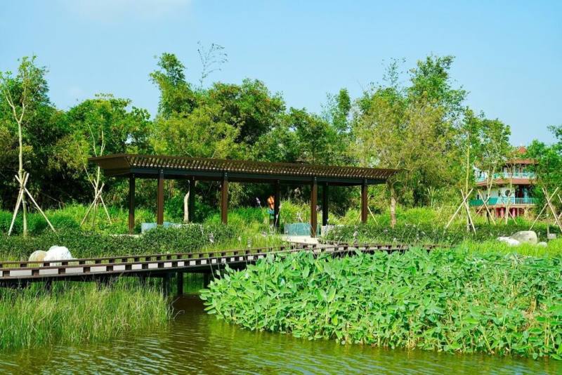 高雄市觀音湖復育螢火蟲有成，周邊高草區成為陸生螢火蟲「台灣窗螢」最佳出沒地點，未來將可結合在地導覽、環境教育與社區參與，推動永續觀光，打造以自然為本的城市旅遊模式。（高雄市觀光局提供）