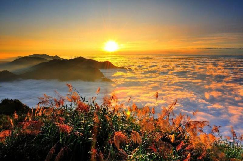 夏季旅展將在18日登場，觀光署今年規劃台灣亮點館與台灣仲夏館，圖為阿里山雲海照。（觀光署提供）