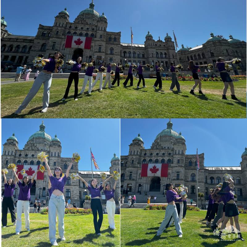 Flash mob dance performance