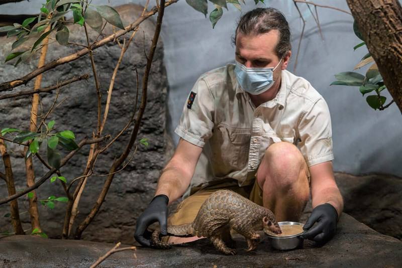 Photo courtesy of Prague Zoo July 17, 2025