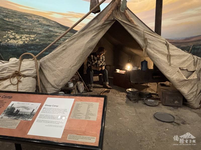 巴斯克牧羊人的放牧生活刻苦而寂寞