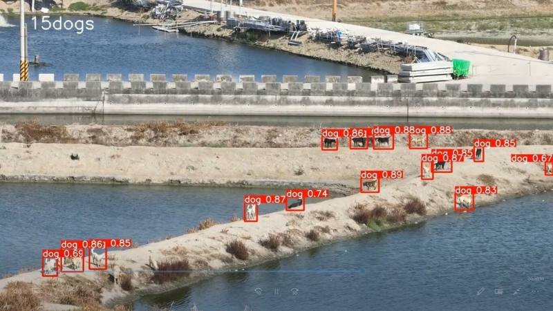嘉義縣家畜疾病防治所導入AI科技，開發「犬隻動態即時辨識與警示系統」透過無人機空拍、AI影像分析（圖）與民眾通報資料，系統可建立狗群活動熱點，進而施行捕捉。（嘉縣家畜所提供）
