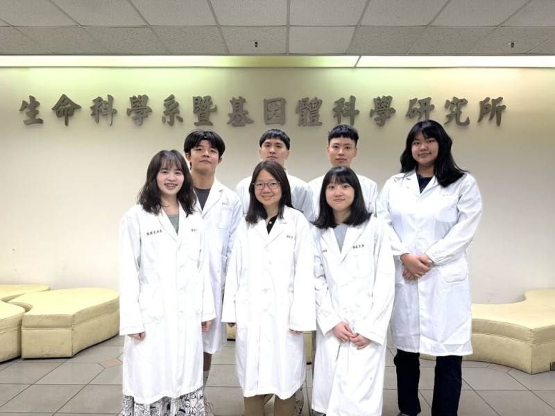 陽明交通大學和哈佛大學的研究團隊發現名為「HBO1」的基因，扮演抑制肝細胞轉分化的「煞車」角色，如能抑制這個踩煞車的關鍵基因，就能激發肝細胞的可塑性，提升肝臟自癒力。（陽明交大提供）