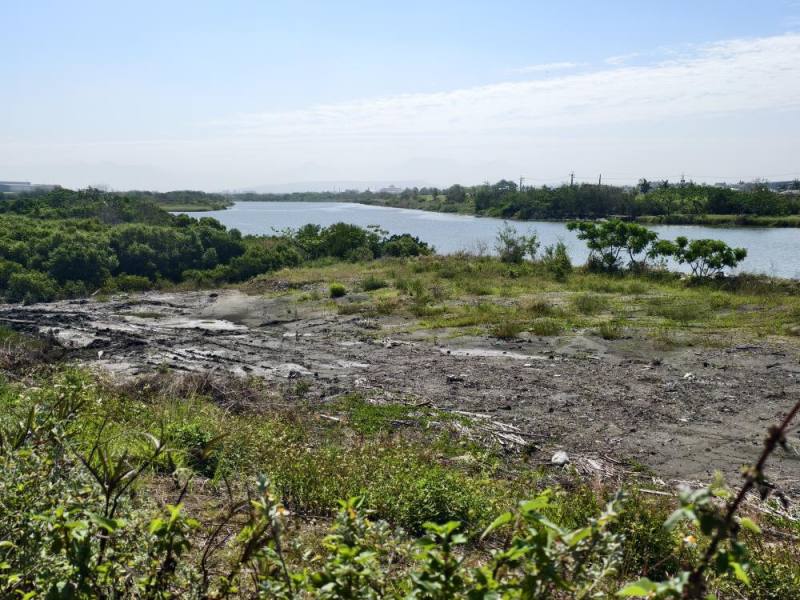 二仁溪河道現況情形