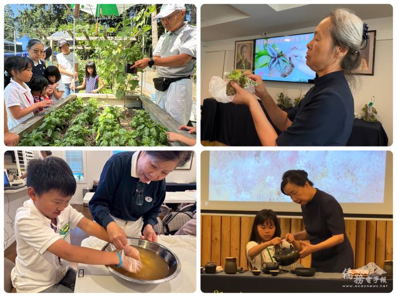 夏令營內容精彩豐富