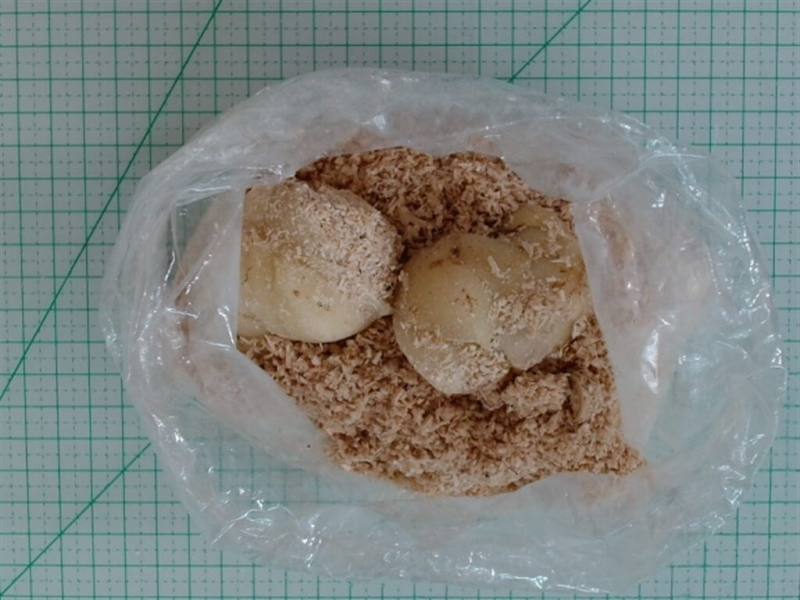 日本北海道百合。（圖取自衛生局網頁health.gov.taipei）