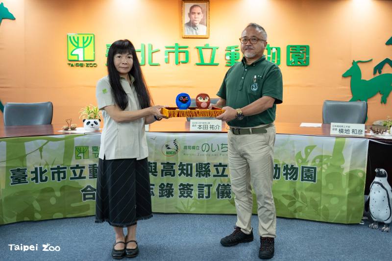Taipei Zoo gifted daruma dolls featuring the pangolin and Taiwan blue magpie