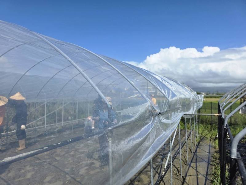 學員進行溫室搭建實作