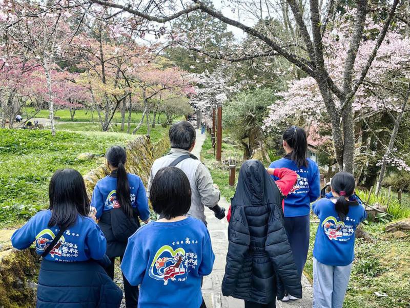 嘉義縣香林國小位於阿里山國家森林遊樂區內，被譽為「全國最高學府」，春天可賞櫻。（香林國小總務主任廖以仁提供）