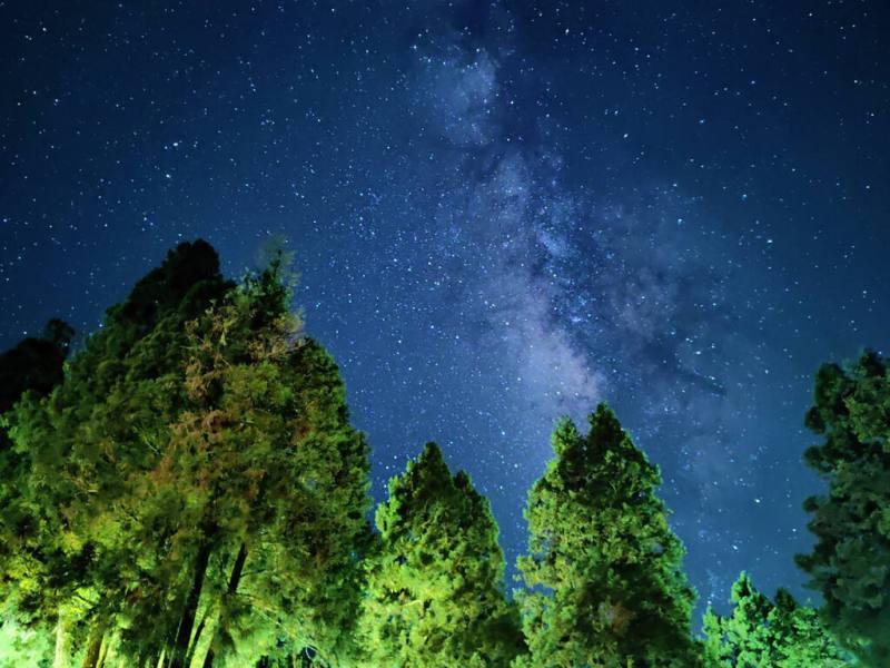 位於阿里山國家森林遊樂區內的嘉義縣香林國小是台灣海拔最高學校，夜晚在操場抬頭就能觀賞星空。（香林國小總務主任廖以仁提供）