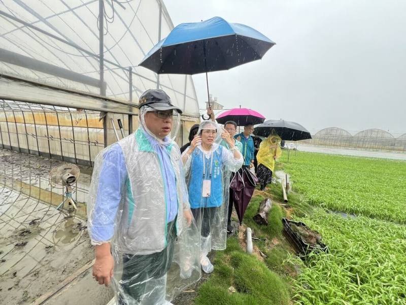 農業部黃昭欽次長視察嘉義新港鄉蔬菜產區受災情形