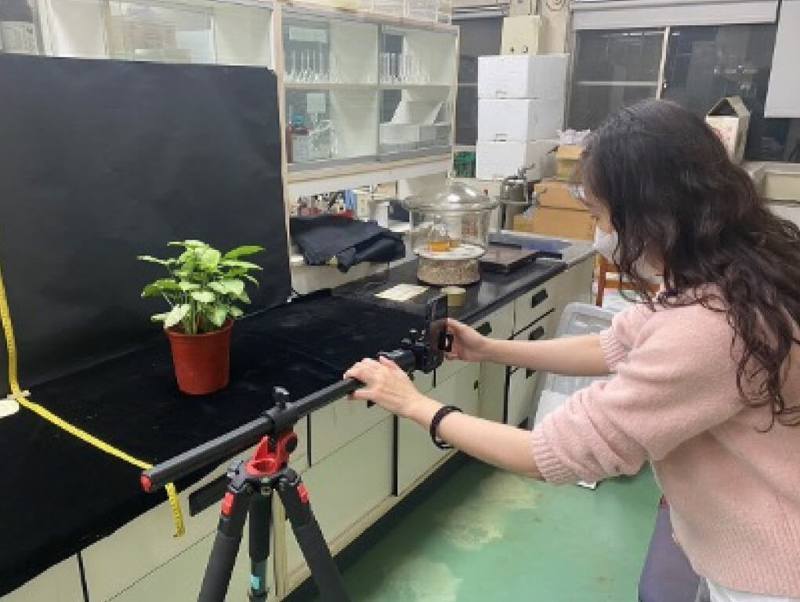 中興大學園藝學系博士朱恬儀長年研究觀葉植物，發現家中綠植盆栽如山蘇能增加有益健康的空氣負離子。（朱恬儀提供）